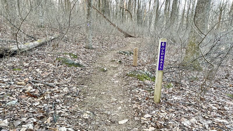 Old Trail | Sky Meadows State Park