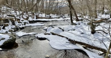 Shenandoah National Park in Winter