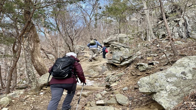 Hiking Uphill at Whiteoak Canyon