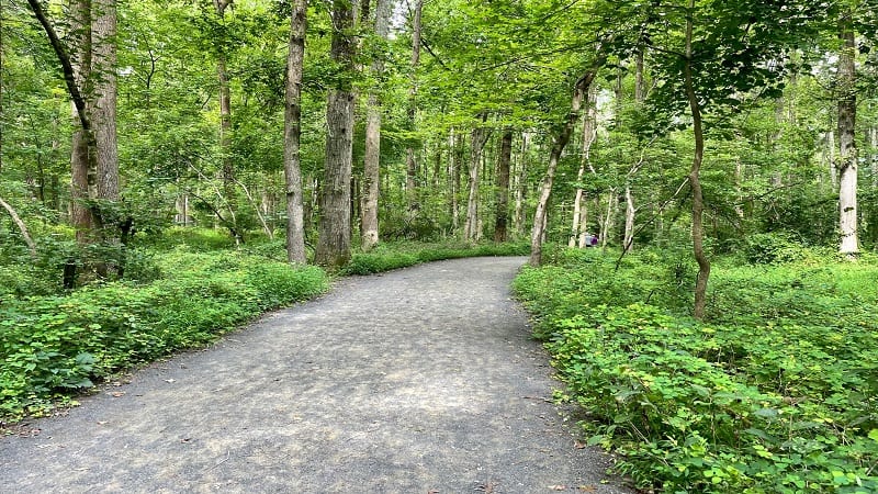 Path at Huntley Meadows Park