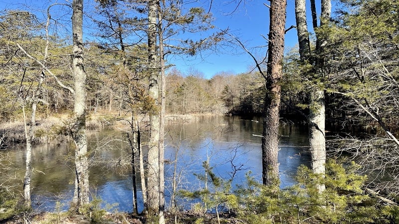 Leopold's Preserve in Haymarket, Virginia