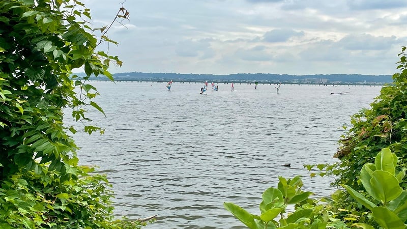 Windsurfers at Daingerfield Island