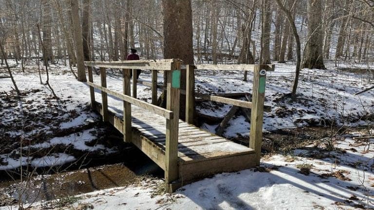 Seneca Regional Park: A Pristine Riverside Loop Hike in Great Falls