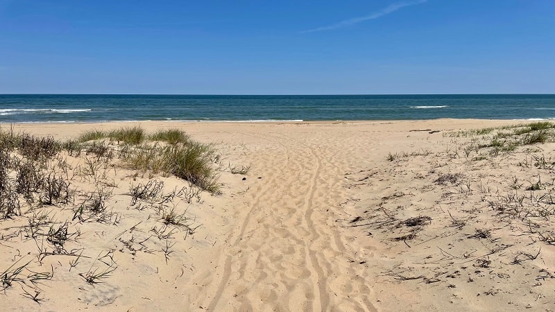 Back Bay Sand Dunes