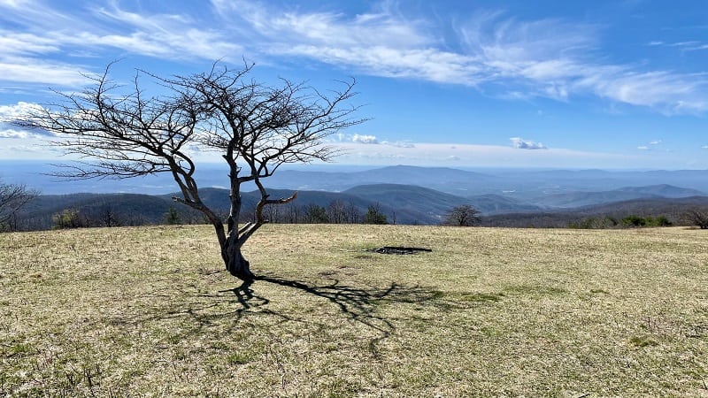 Cole Mountain Views in Virginia