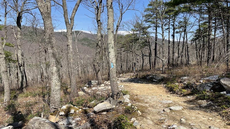 Blue-Blazed Gap Creek Trail to Duncan Knob