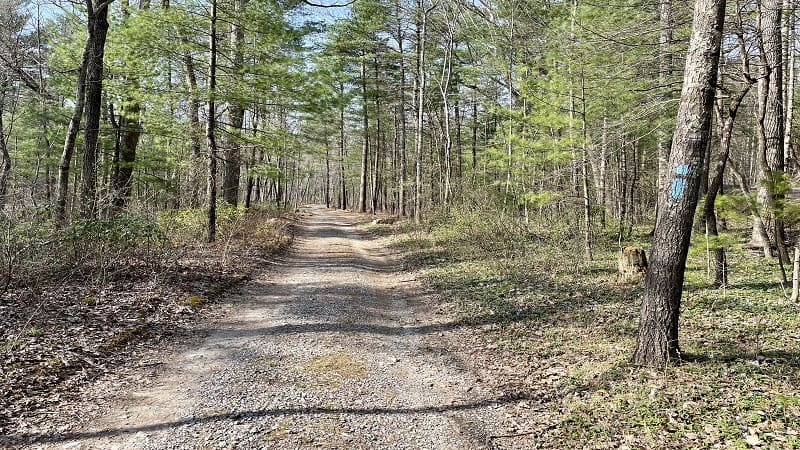 Gap Creek Trail to Duncan Knob