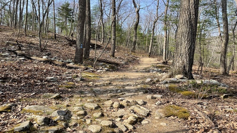 Blue-Blazed Gap Creek Trail Near Luray, Virginia