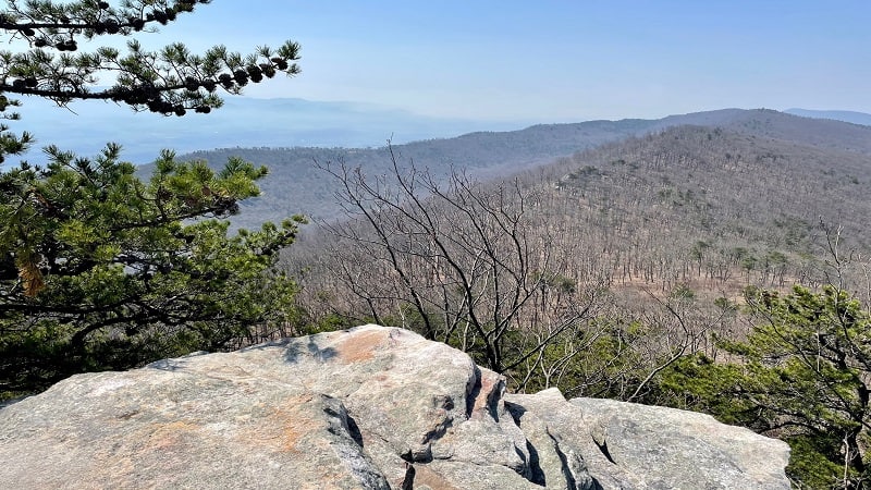 Mountain Views from Duncan Knob