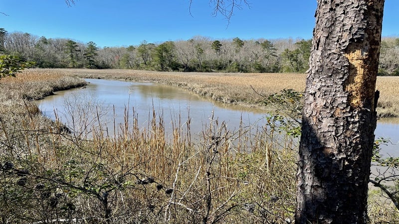 Taskinas Creek Trail