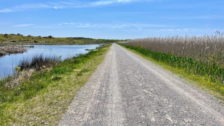 false cape state park bike trail