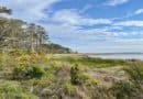 False Cape State Park: Bike, Hike & Camp for the Win in Virginia Beach