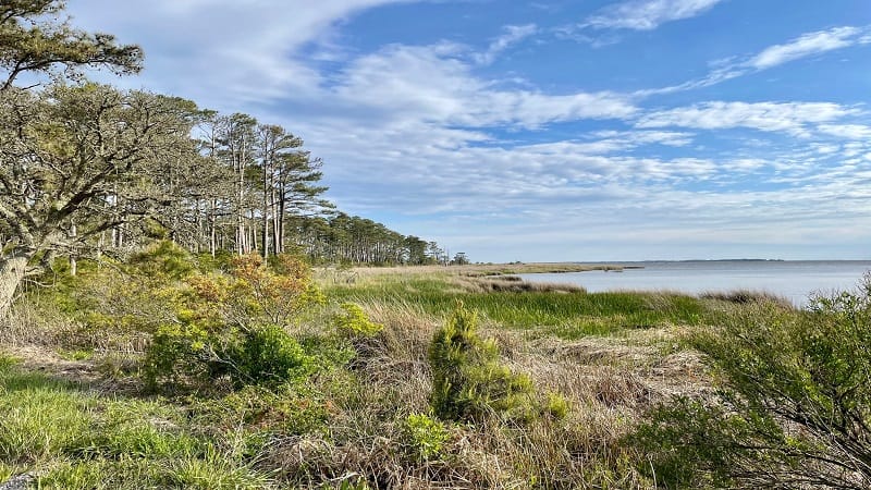 False cape state outlet park bike trail