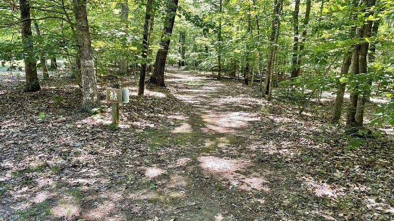 Lake Anna Fisherman's Trail