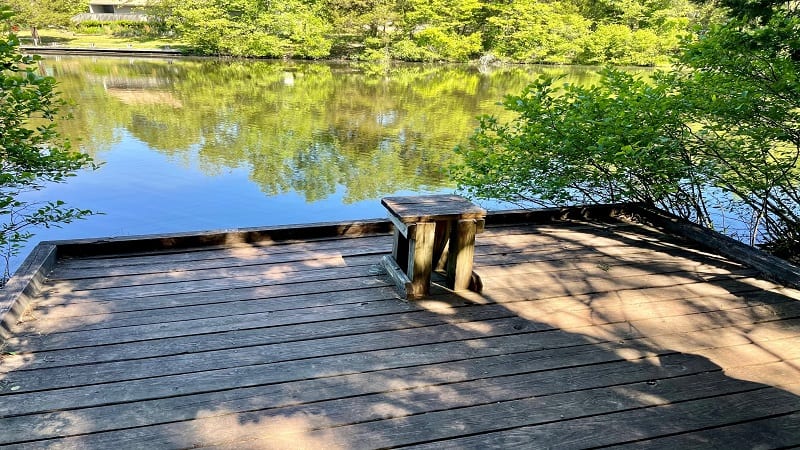 Fishing - The Lake Anna Visitor Center