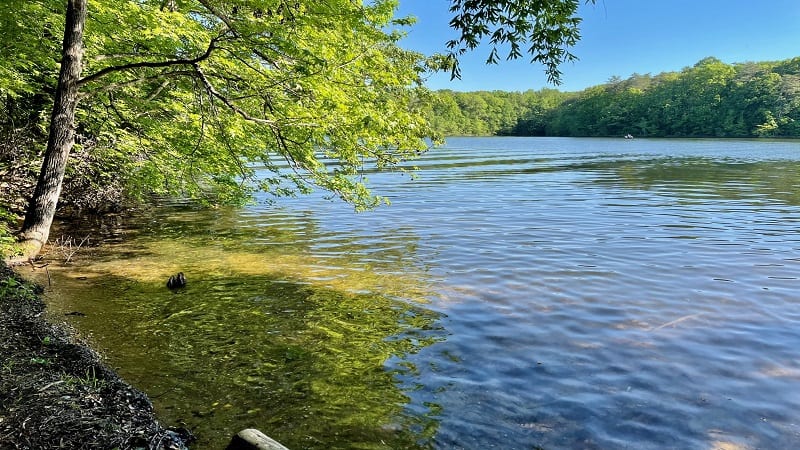 Lake anna shop state park hiking