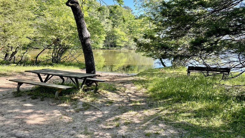 Fishing on Lake Anna  Lake Anna Visitors Guide