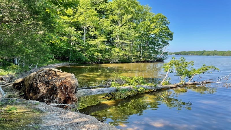 Lake anna 2025 state park hiking