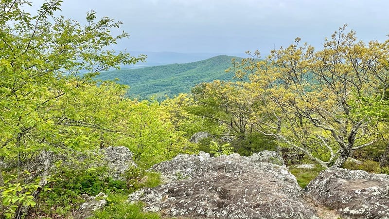 Pass Mountain Overlook at Shenandoah National Park