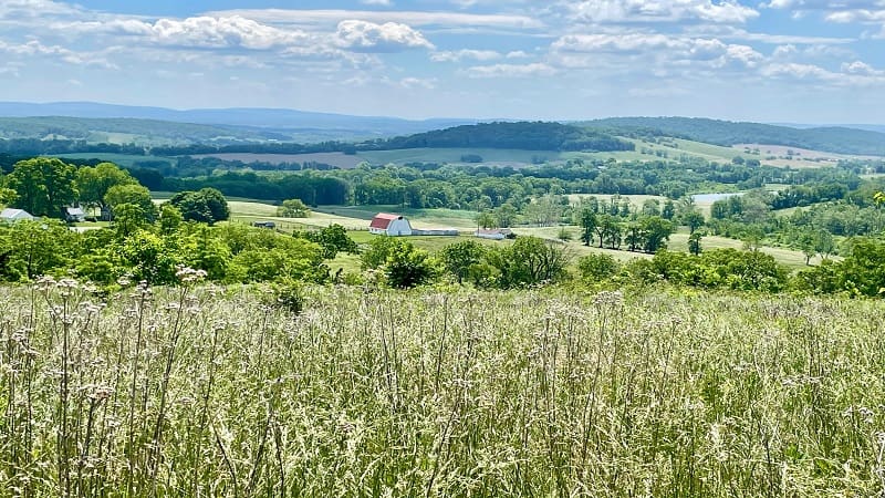 Sky Meadows State Park