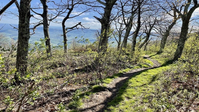 Sugarloaf Loop Views at Shenandoah National Park