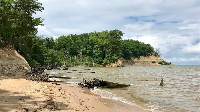 Westmoreland State Park: Shark Teeth on Fossil Beach