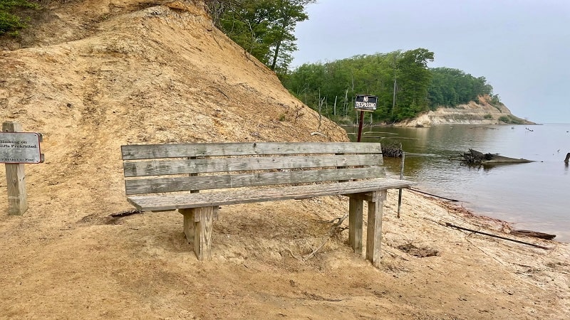 Westmoreland State Park: Shark Teeth on Fossil Beach