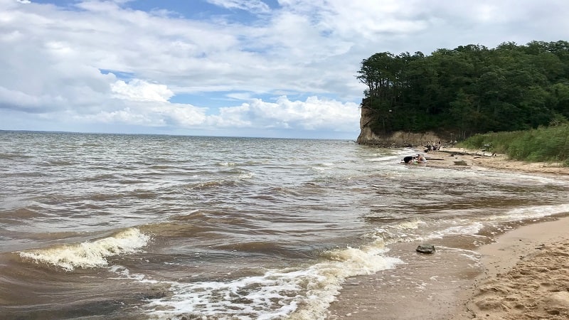 Fossil Beach at Westmoreland State Park in Virginia