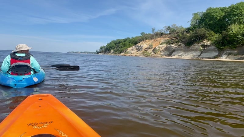 shark tours virginia beach