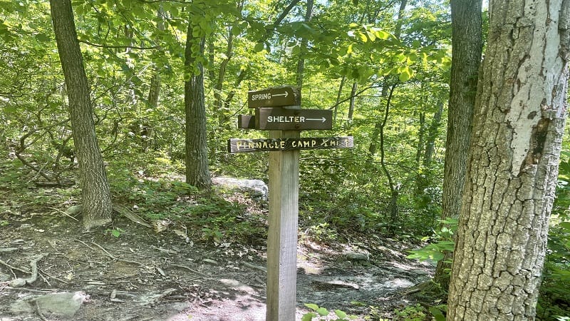 Tuscarora Trail: Hike to Pinnacle Overlook in Winchester