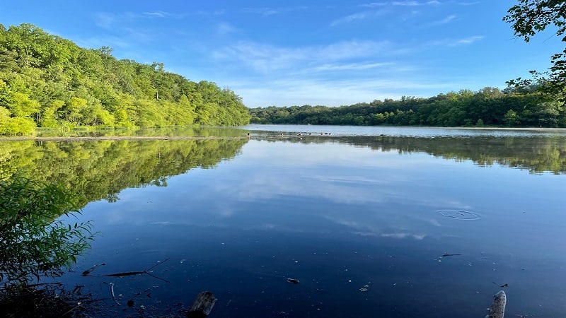 Lake Mercer in Springfield, Virginia