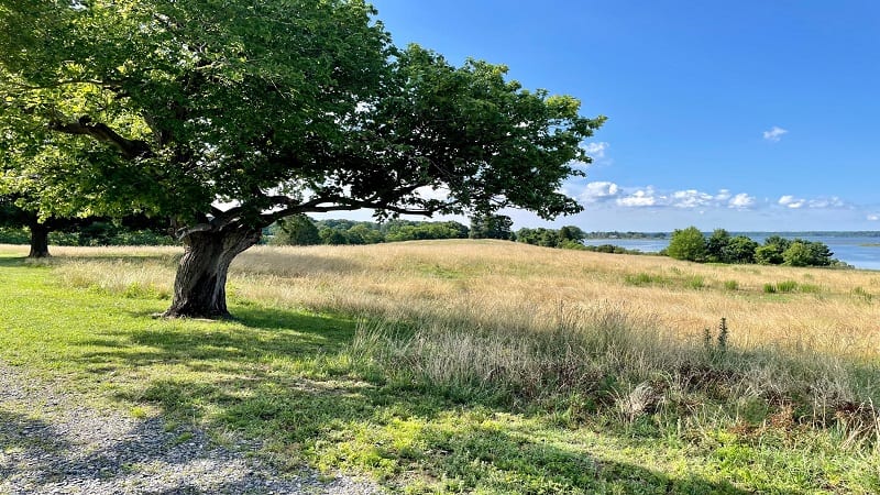 Machicomoco State Park