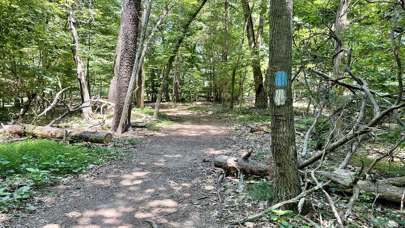 Nature Trail at Red Rock Wilderness Overlook Regional Park in Leesburg, Virginia