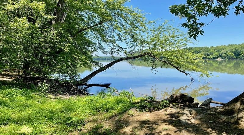 Red Rock Wilderness Overlook Regional Park | Easy Nature Hike with Potomac River Views in Leesburg, Virginia