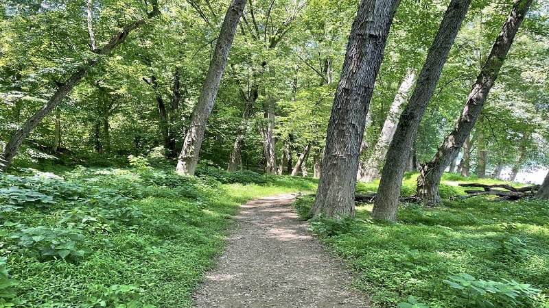 Nature trail at Red Rock Wilderness Overlook Regional Park in Leesburg, Virginia