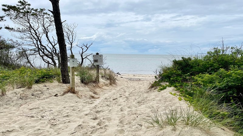 Approaching the beach at Savage Neck Dunes