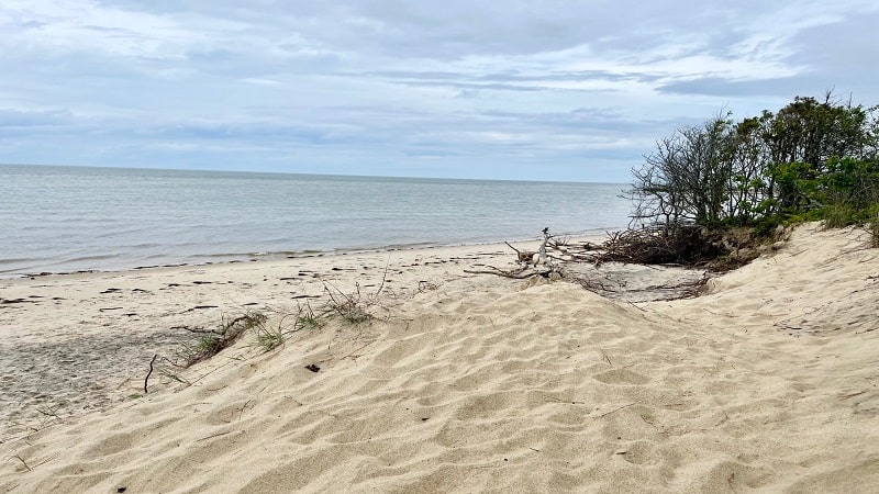 Sandy Beach at Save Neck Dunes Natural Area Preserve