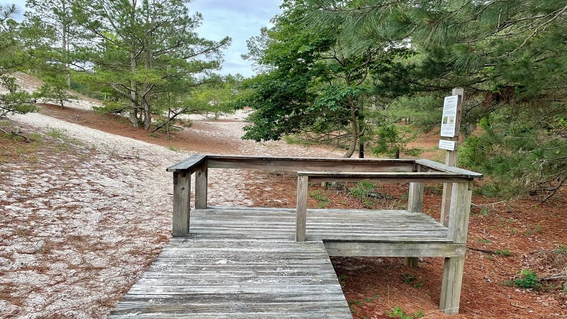 Dune Overlook at Savage Neck Dunes Natural Area Preserve