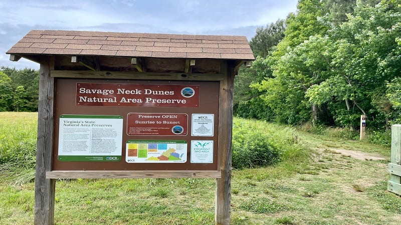 The trail kiosk in the parking lot at Savage Neck Dunes Natural Area Preserve