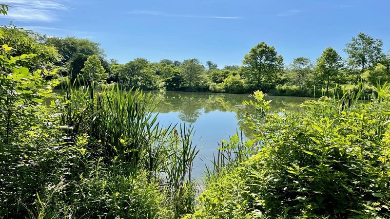 Banshee Reeks Nature Preserve