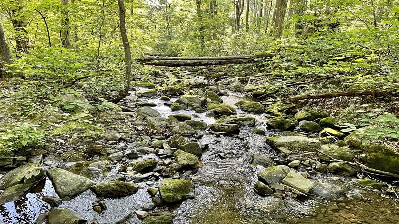 Buck Hollow at Shenandoah National Park