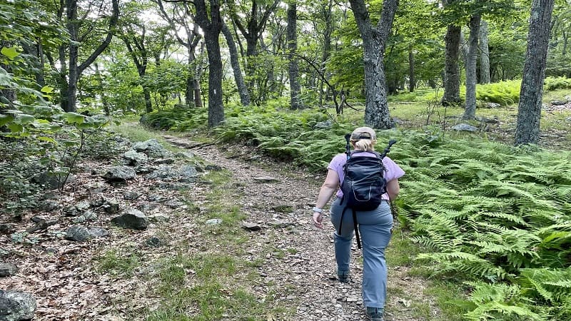 Woman Hiking on a Trail