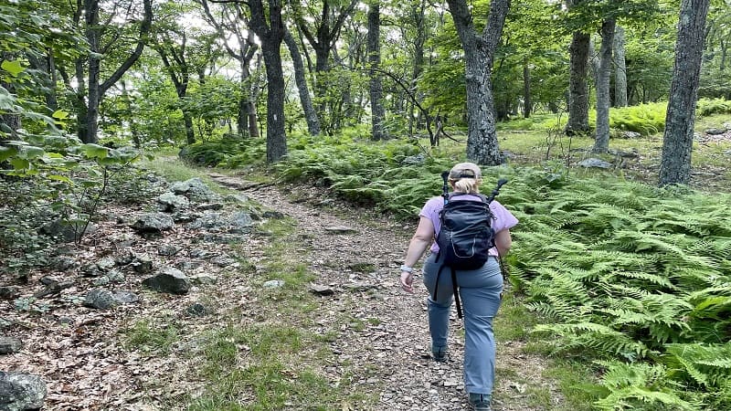 Hiking: Calories Burned, Weight Loss, and More