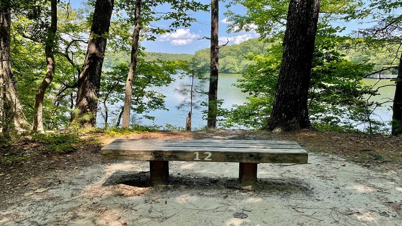 Noland Trail at The Mariners' Lake in Newport News