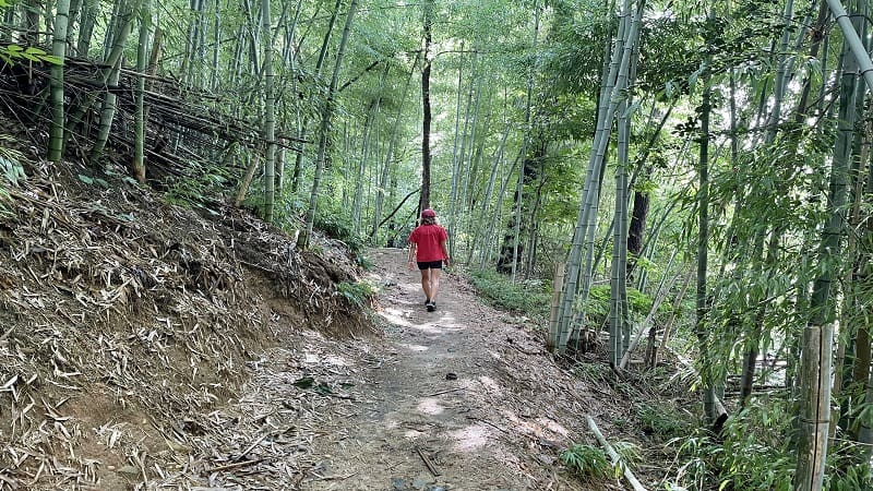 North Bank Trail Near Maymont in Richmond, Virginia