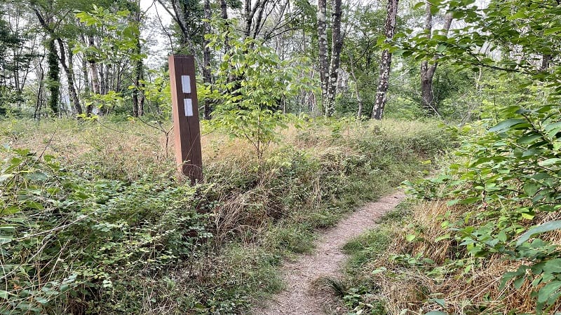 white blazes appalachian trail