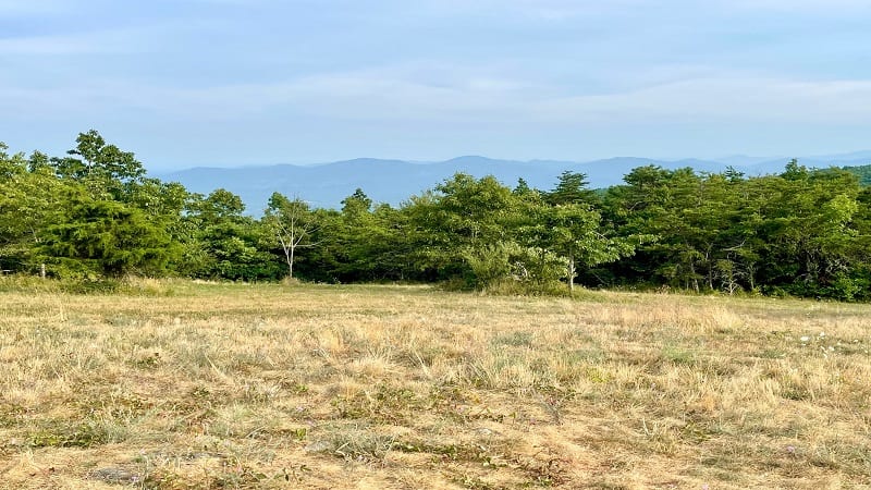 Little Calf Mountain Summit