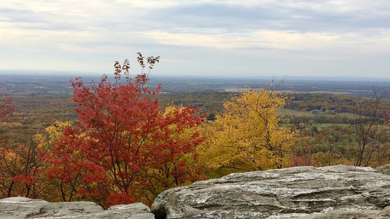 Fall Colors at Bears Den Overlook in Virginia