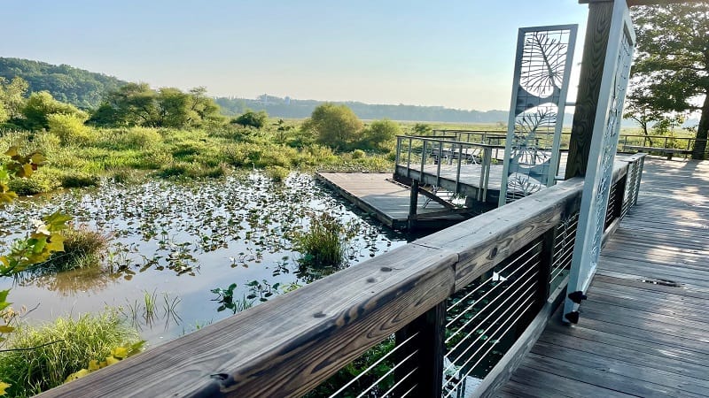 Observation platform at south entrance at Neabsco Creek Boardwalk