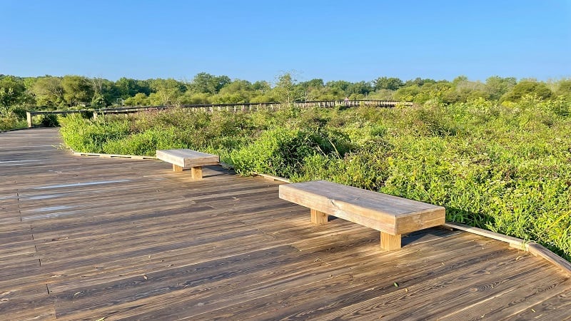 Benches on the Neabsco Creek Boardwalk